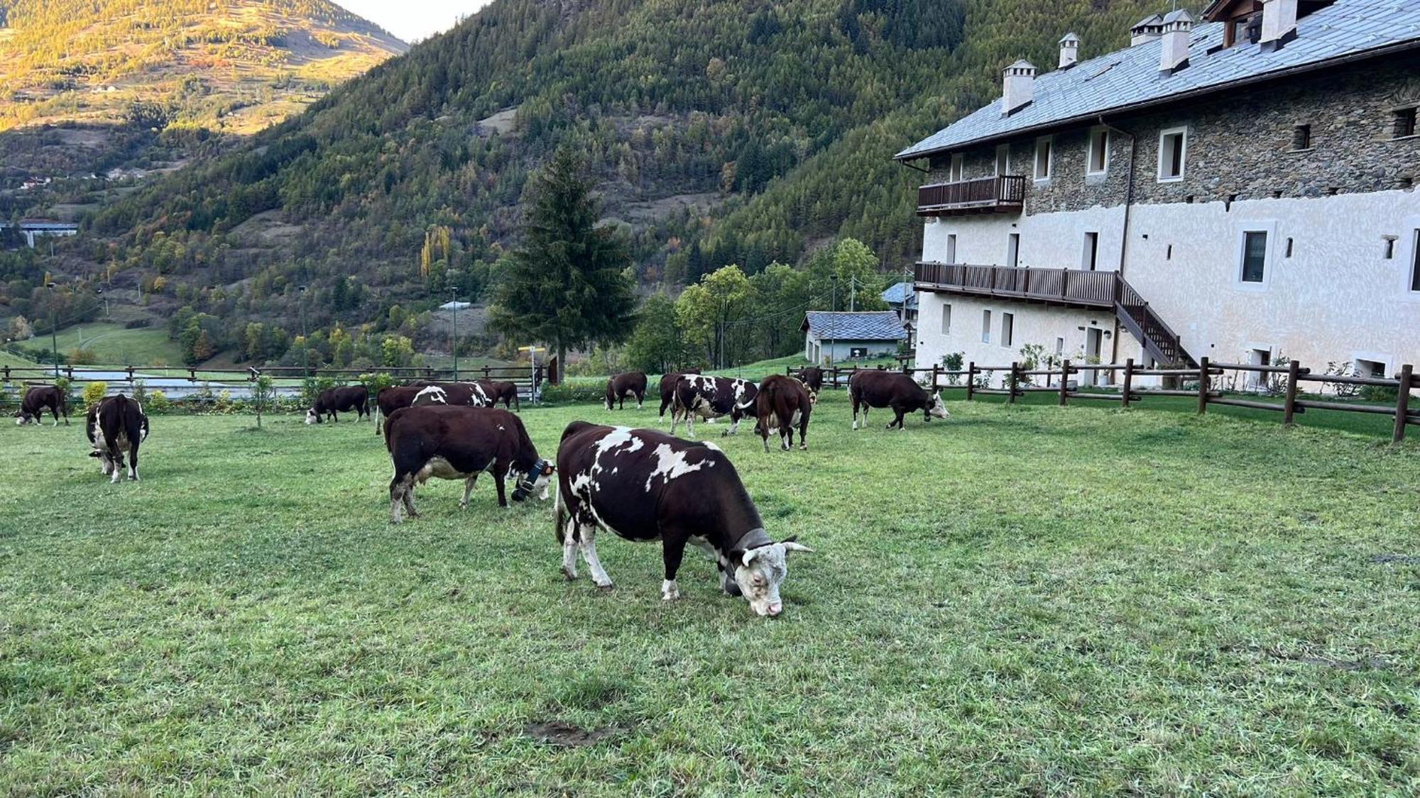 Maison Marcoz - Appartamenti Vacanze Етрубль Екстер'єр фото