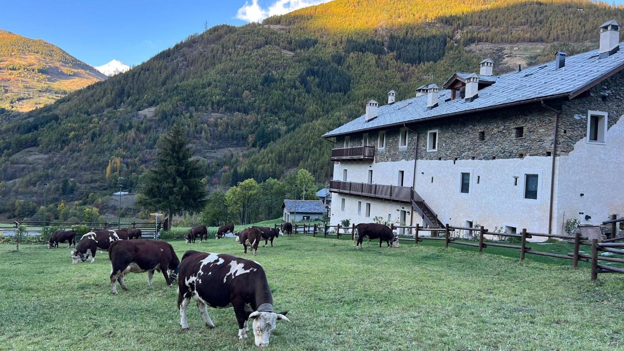 Maison Marcoz - Appartamenti Vacanze Етрубль Екстер'єр фото